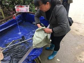 五一吃瓜群众视频在线观看,揭秘热门事件幕后真相