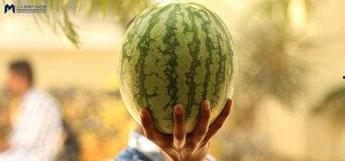 吃瓜娱乐圈什么情况,揭秘吃瓜群众关注的最新热点事件