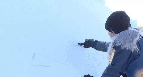 娱乐吃瓜钢铁直男,揭秘娱乐圈幕后真相