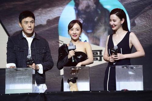 娱乐圈吃瓜爆料一更到底,一网打尽明星秘闻，揭秘幕后真相！