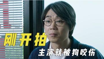 娱乐吃瓜君字幕版,揭秘娱乐圈幕后故事